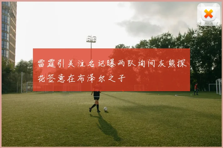 雷霆引关注名记曝两队询问灰熊探花签意在布泽尔之子