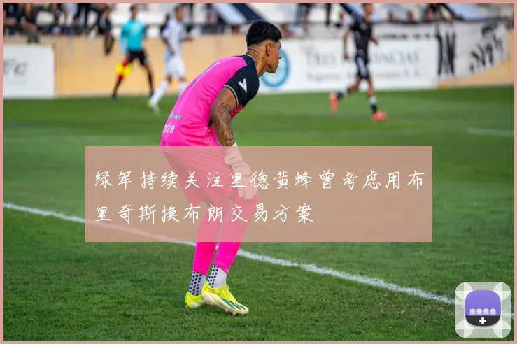 绿军持续关注里德黄蜂曾考虑用布里奇斯换布朗交易方案